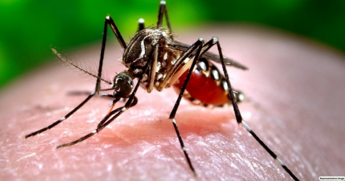 Uttarakhand: Dengue outbreak sweeps through Dehradun, prompting urgent action